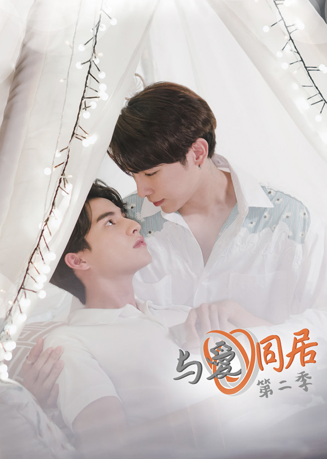 与爱同居第二季